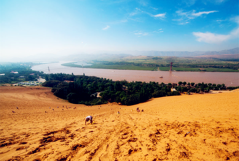 梦想之翼，宁夏腾飞
